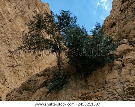 On the way to the Upper Todgha Gorges in Tinerhir, there are valleys, trees, and winding roads. In the straits, many traditional clothes, jewelry, natural stones, and fossils are sold. Royalty-Free Stock Photo #2453211587