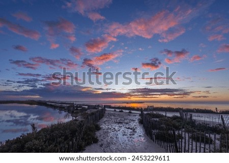 Typical landscape during sunrise in Parc Naturel regional de Camargue, Provence, France Royalty-Free Stock Photo #2453229611