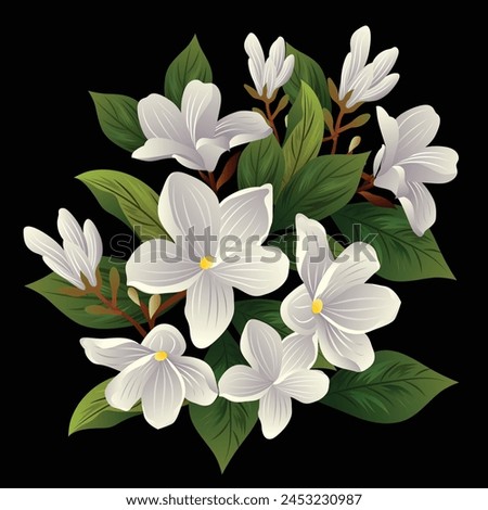 Jasmine Digital Art Flower Clip Art vector illustration