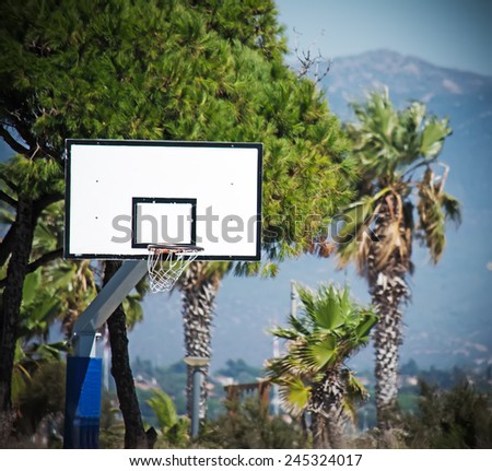 basketball hoop in a green park in vintage tone