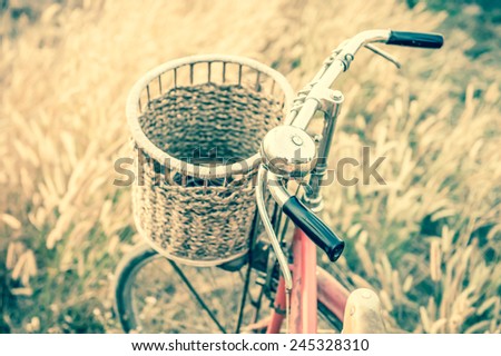 Vintage Bicycle with Summer grass field in vintage tone style