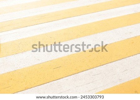 Zebra Cross with yellow lines