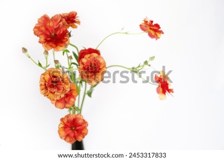 Beautiful red and golden flowers in vase.