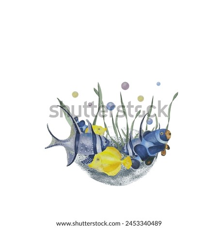 Tropical fish watercolor illustration. For decoration and design of summer and beach printing. High quality photo