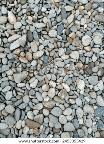 Pebbles are great when used as a decorative accent on top of the soil in a garden pot,” says Stephanie Rose, a writer, gardener, permaculture designer, herbalist, and founder of Garden Therapy. Royalty-Free Stock Photo #2453355429