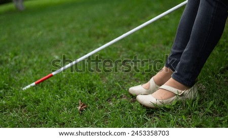 Close-up of the legs of an elderly woman using a tactile cane on a walk in the park. 