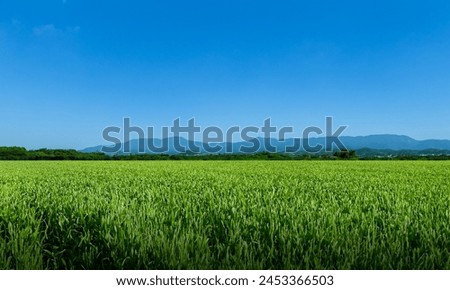 Nature forest, mountain, sky, blue tone Royalty-Free Stock Photo #2453366503