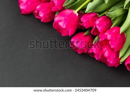 bright pink tulips lie on a black background. floral background for postcard