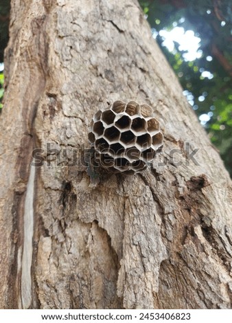 Photo of a very amazing bee house