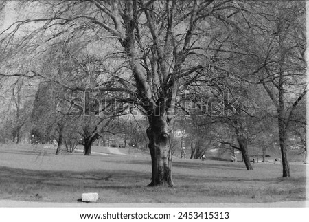 landscape in black and white Royalty-Free Stock Photo #2453415313