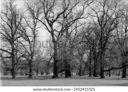 landscape in black and white Royalty-Free Stock Photo #2453415325