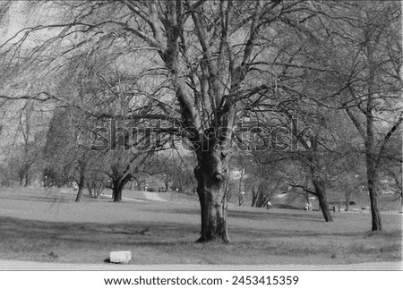landscape in black and white Royalty-Free Stock Photo #2453415359