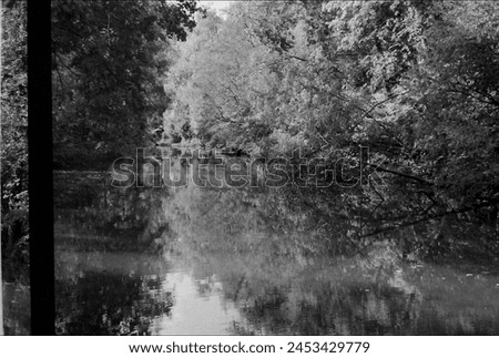 landscape in black and white Royalty-Free Stock Photo #2453429779