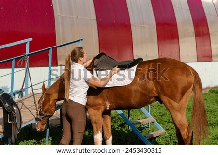Equestrian adjusting saddle on equine. Cowgirl covers the white saddle-blanket on the horse's back with a saddle-cloth. Royalty-Free Stock Photo #2453430315