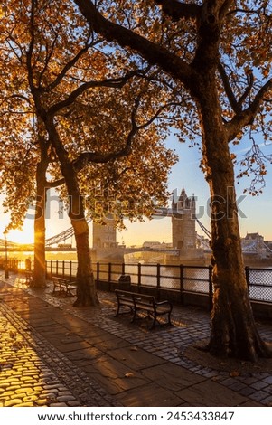 Autumn sunrise in grounds of the Tower of London, with Tower Bridge, London, England, United Kingdom, Europe