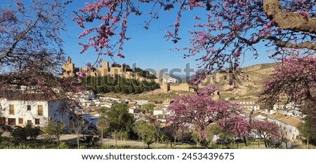 In the heart of Andalucia, a small town awakens to the enchanting embrace of spring. Streets lined with whitewashed buildings adorned with vibrant blossoms Royalty-Free Stock Photo #2453439675