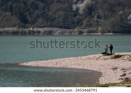 lakeshore with beach in springtime Royalty-Free Stock Photo #2453468791