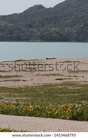 lakeshore with beach in springtime Royalty-Free Stock Photo #2453468795