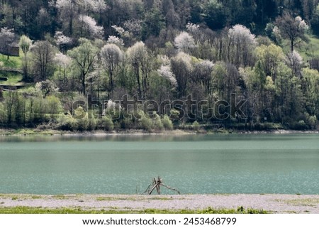 lakeshore with beach in springtime Royalty-Free Stock Photo #2453468799
