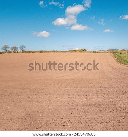 Recently seeded farmland, outside Bishopton, Scotland on a sunny spring day. Square format photo.