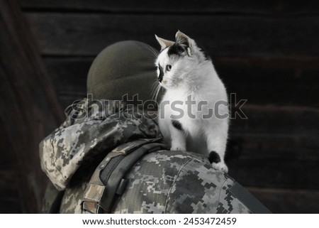Little stray cat on Ukrainian soldier's shoulder. Space for text