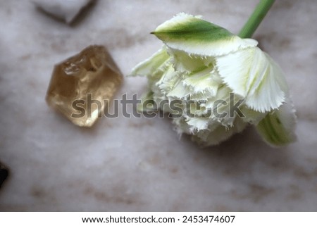 Beautiful white tulip and citrine stone on a marble surface. Royalty-Free Stock Photo #2453474607