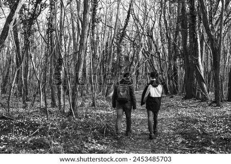 Father and adolescent son (unrecognizable; back view) walking in forest covered  with wild wood anemone flowers. Ile-de-France, France. Spring nature travel. Black white historic photo