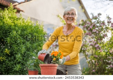 Happy senior woman gardening in her yard. She is planting flowers.