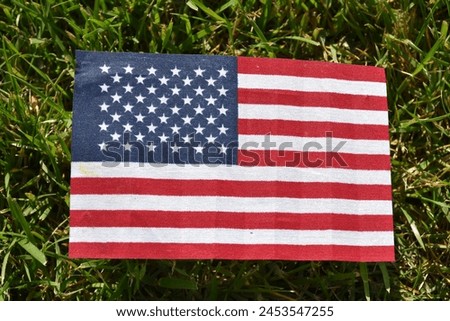 American flag with grass background