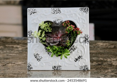 A white picture frame with a heart shape cut out. Different succulent plants are in there with the leaves and flowers sticking out.