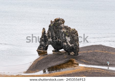 Hvitserkur troll rock, a basalt formation located off the shore of  the Vatnsnes peninsula.