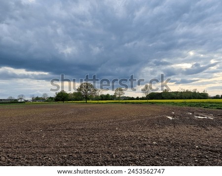 The rain is coming. Agricultural landscape. Cultivated field.  Countryside. Rapeseed flowers. Blue sky and clouds. Tree silhouettes. Greenery. Soil. Spring scene. Pollen.  Natural environment. Photo.