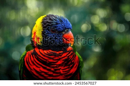 A colorful bird with a red beak
