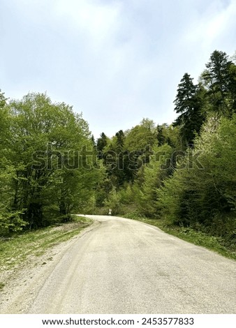 Road in greenery, green way, green mil, shades of green Royalty-Free Stock Photo #2453577833