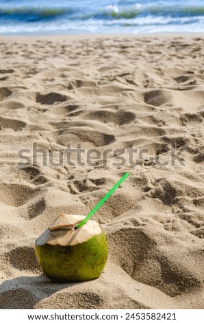 Coconut on the sandy seashore. The concept of a summer beach holiday at tropical resorts. Great background for advertising holidays on the coast
