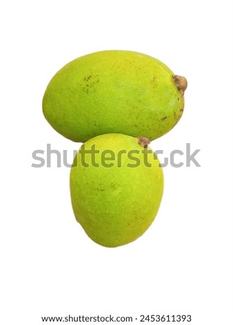 tow green raw mangos isolated on white background,fresh mango picture, fresh fruit, fresh vegetables,clipping path, mango picture, mango photo 