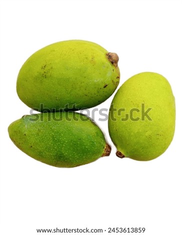 fresh green mango group isolated on white background, group of mangos, mango photo, fresh fruit, raw mango picture,