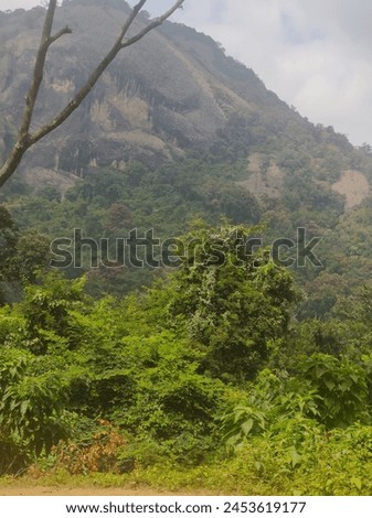 The scenic pathway towards siruvani waterfalls, Coimbatore  Royalty-Free Stock Photo #2453619177