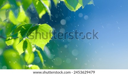 Natural background of spring leaves, green tree leaves on blurred background. This photo was created manually, without the use of AI.