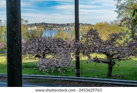 A view of Spring flowers and the Seattle skyline in Washington State.