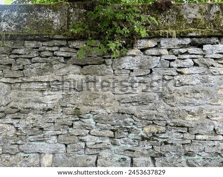 Ancient mossy wall with sparse pink flowers and a fringe of greenery on top. Royalty-Free Stock Photo #2453637829