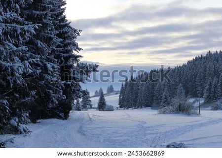Snowy landscape in Slovakia. This photo could be used in travel brochures or websites promoting winter getaways.