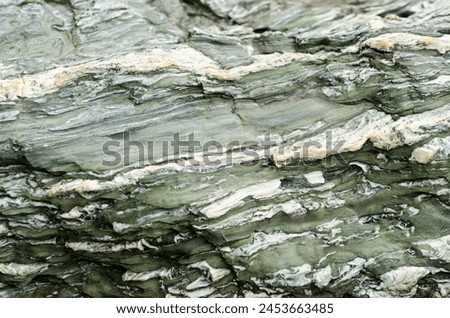 The rock is green and white with a rough texture. It looks like it has been weathered by the elements