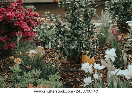 Spring Garden with Blooming Flowers and Shrubs Royalty-Free Stock Photo #2453700949