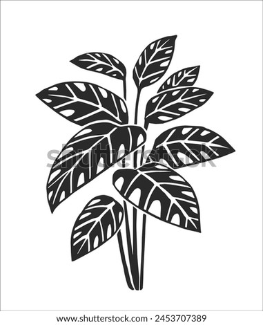 Vector hand-drawn illustration of a tropical plant isolated on a white background. A stamp with a floral element of South American nature. A sketch of Calathea Royalty-Free Stock Photo #2453707389