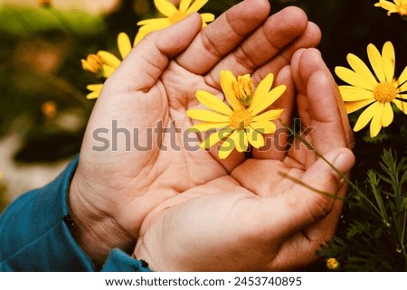 The image shows a close-up of a person's hands gently holding a yellow flower. The person is wearing a blue top, and the background is blurred but suggests a natural setting with other yellow flowers.