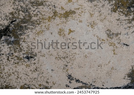 The background is a cream-colored cement plaster that has a lot of peeling and the cement has eroded.