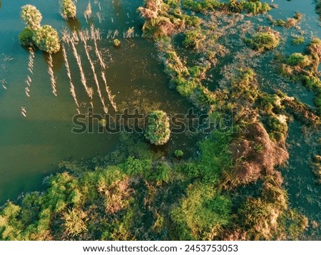 drone shot aerial view top angle beautiful natural scenery india tamilnadu evergreen rain forest greenery meadows sunset ruralscape mangrove turquoise blue water bird sanctuary wallpaper tropical dawn