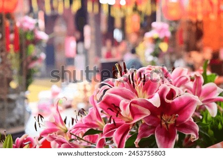 Close-up of lilies offered in Chinese temples by devotees, symbolizing purity, auspiciousness, and blessings. Royalty-Free Stock Photo #2453755803