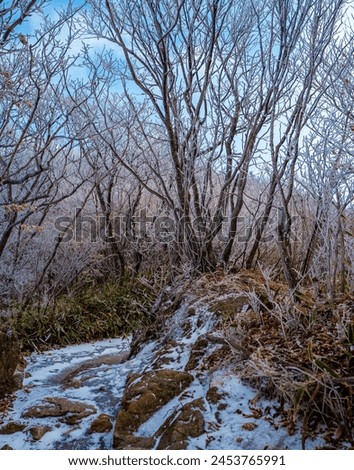 
Landscape photo taken while hiking Mt. Jirisan in winter